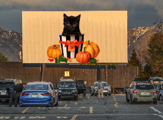 cat on screen