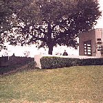 the grassy knoll