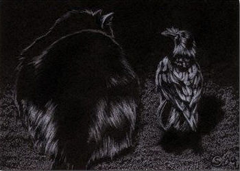black cat with raven