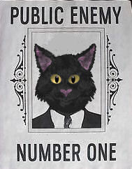 black cat on Public Enemy Number One poster