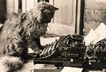 cat at a typewriter