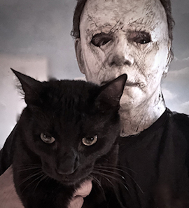 cat with man in mask