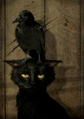 cat with crow on head