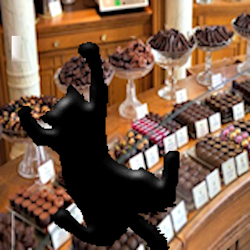 cat reaching for chocolate