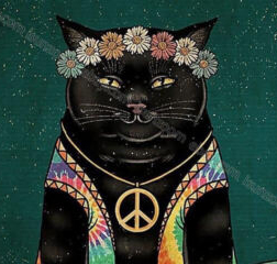 hippie cat