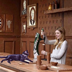 cat at chocolate bar