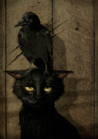 raven on cat's head