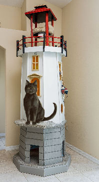 cat on lighthouse
