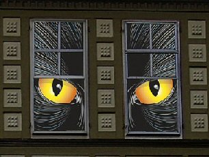 cat eyes peering from house