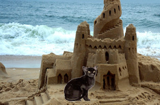 cat by sand castle
