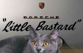 cat in front of Little Bastard