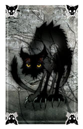 Cat Tarot Card