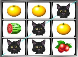 cats on slot machine