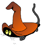 cat peeking out from under witch's hat