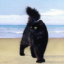 cat on beach