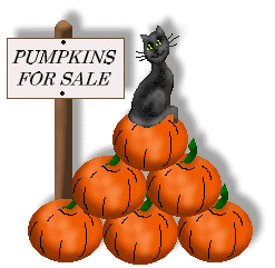 Salem selling pumpkins