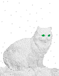 snow-covered cat