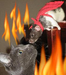 cat with devil mouse