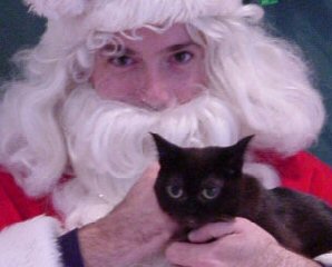 cat with Santa