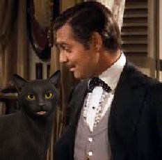cat with Rhett Butler