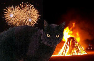 black cat by fireworks and bonfire
